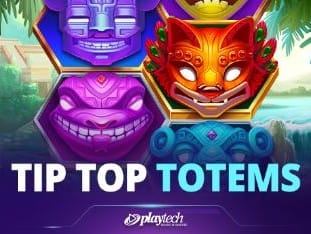 Tip Top Totems game icon